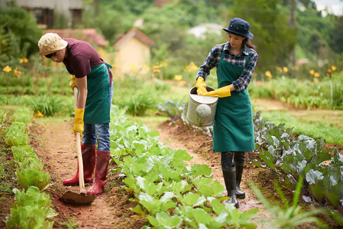 image of agricultural workers